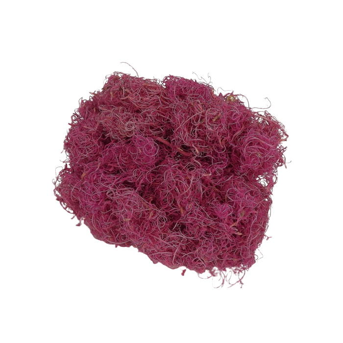 Curly Moss x 350g Orchid