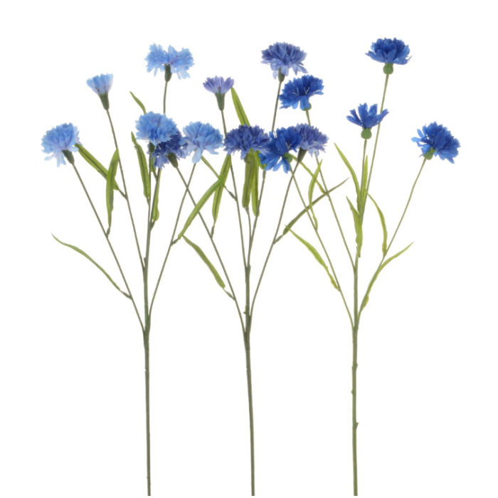 Cornflower Assorted Blue's