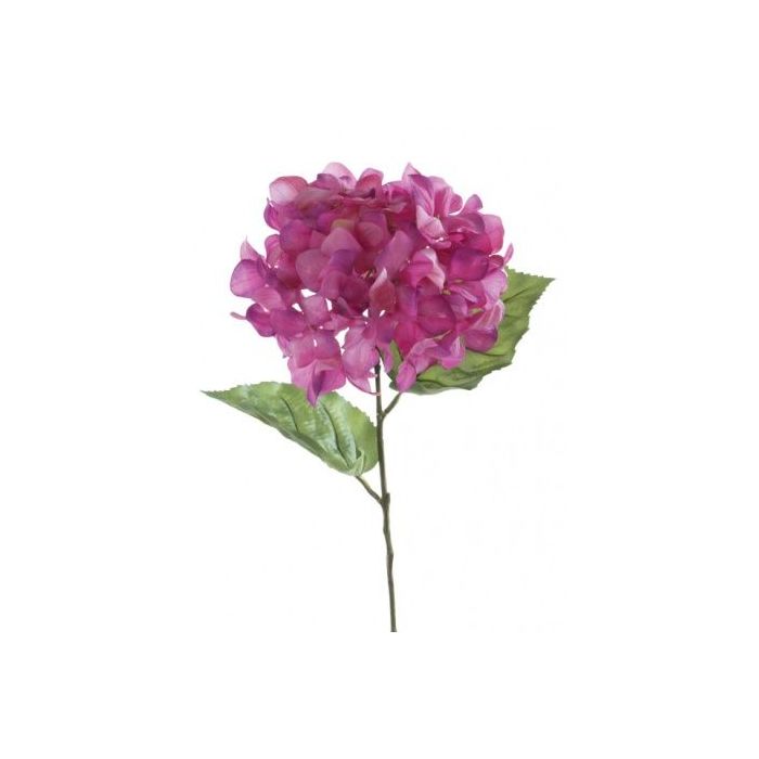 Hydrangea Macrophylla 67cm Lavender