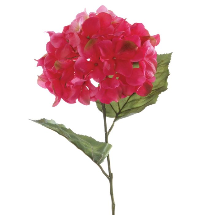 Hydrangea Macrophylla 67cm Magenta