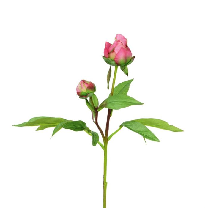 ECO Peony Bud 48cm Dark Pink