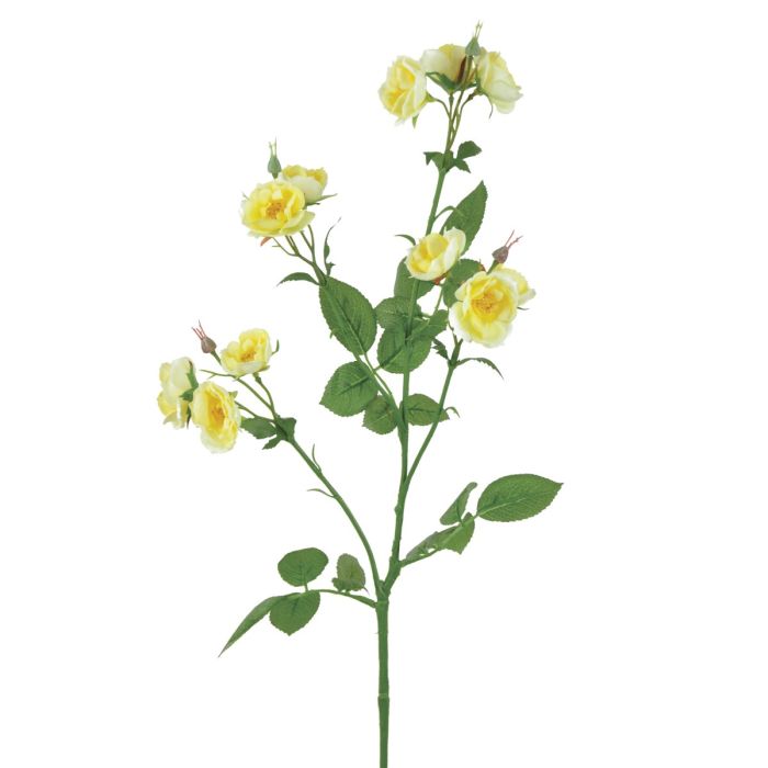 Isabella Wild Rose Spray 73cm Lemon