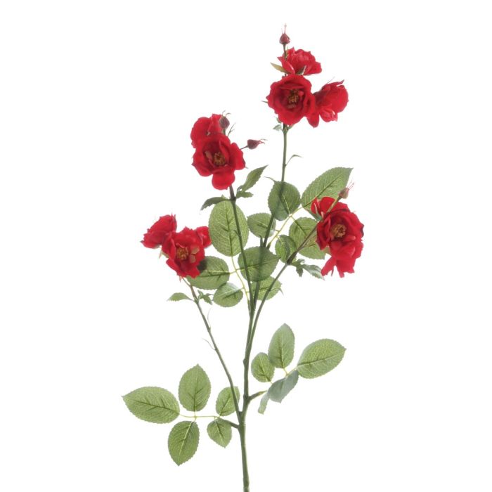 Isabella Wild Rose Spray 73cm Red