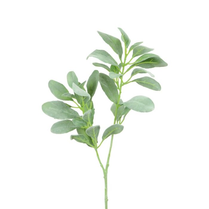 Lambs Ear Spray Grey/Green 71cm