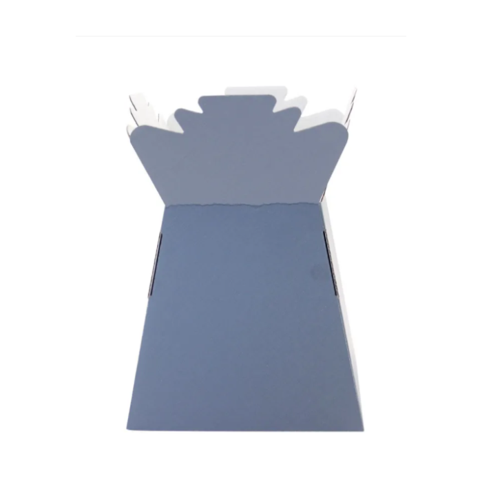 Living Vase (x30) Grey