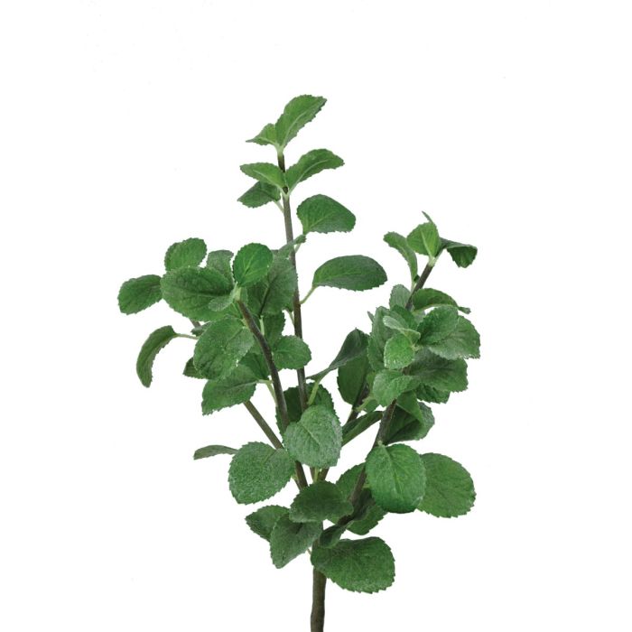 Mint Bush 39cm