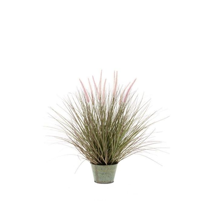 Pennisetum Grass In Zinc Pot 99Cm