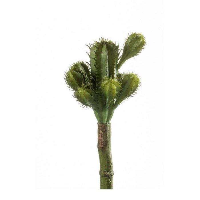Cactus 18Cm Green