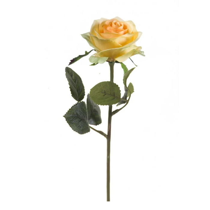Rose Simone 45cm Yellow