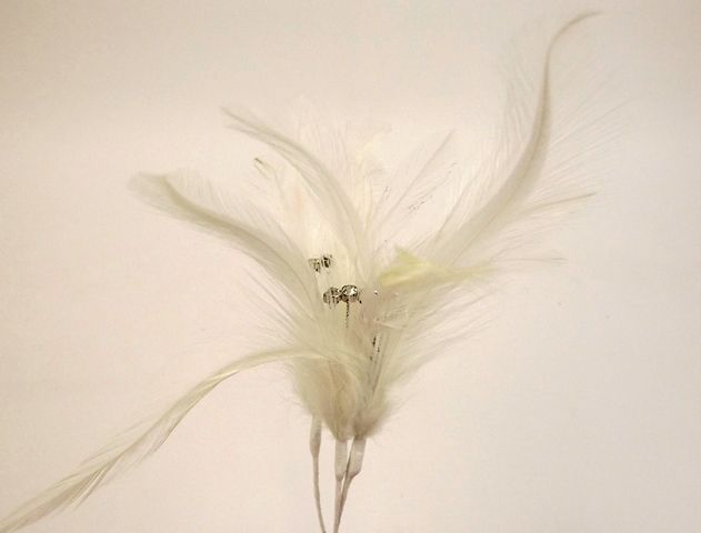 Flutters - Cream (15cm Long  3 pcs per pk)