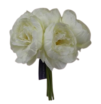 26cm Cream Peony Posy