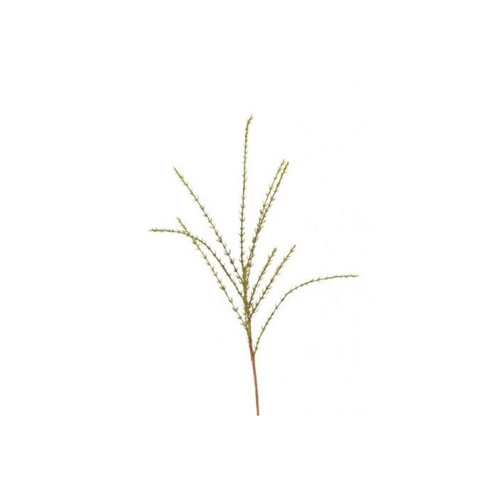 Thyme Spray 50cm