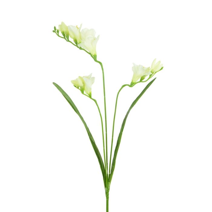 Freesia Cream/Green 65cm