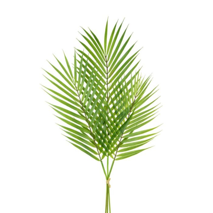 Areca Palm Bundle Green 78cm