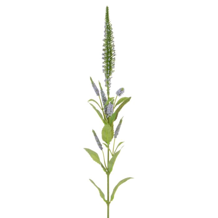 Veronica Spray 72cm Lavender
