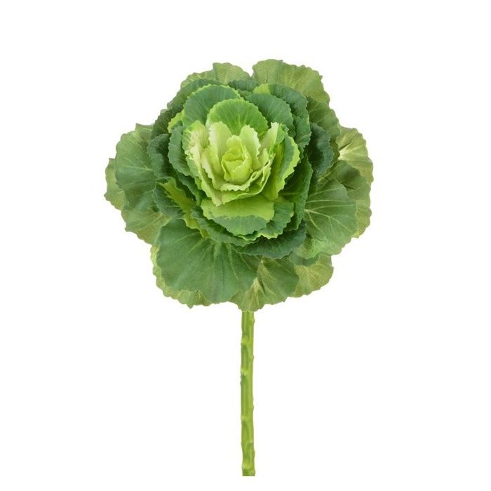 Ornamental Cabbage Spray 46cm Green