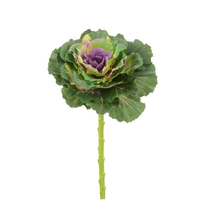 Ornamental Cabbage Spray 46cm Purple/Green