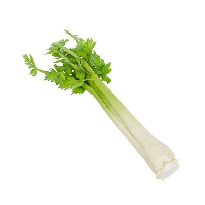 Celery Natural Touch