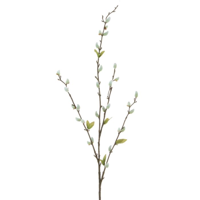 Pussy Willow Stem 81cm