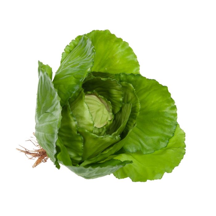 Baby Cabbage Natural Touch