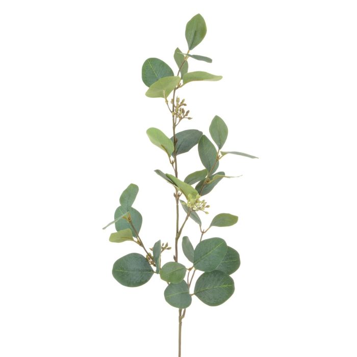 Eucalyptus Spray W/Berries