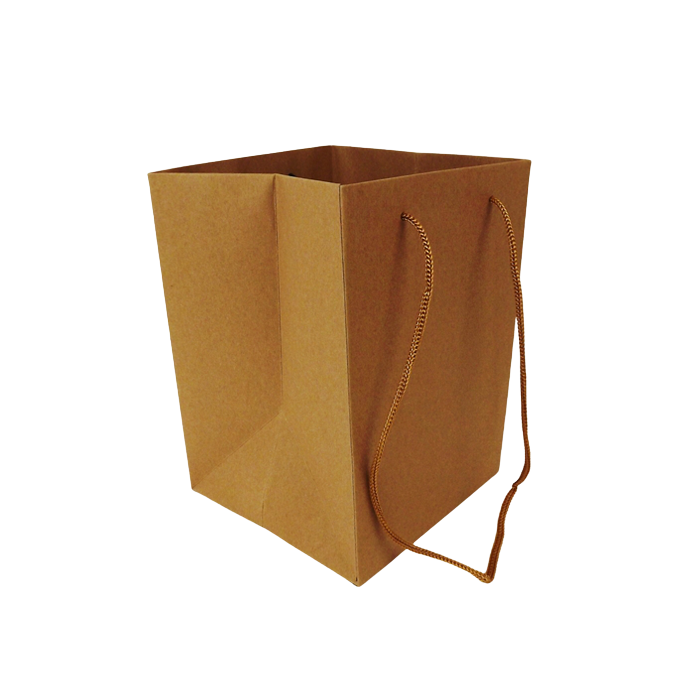 Olympic Bag Kraft With Brown Handles 25cm x 10