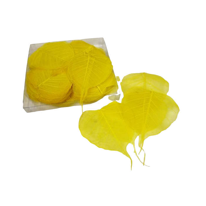 Skeleton Leaves Bleached Yellow X 200