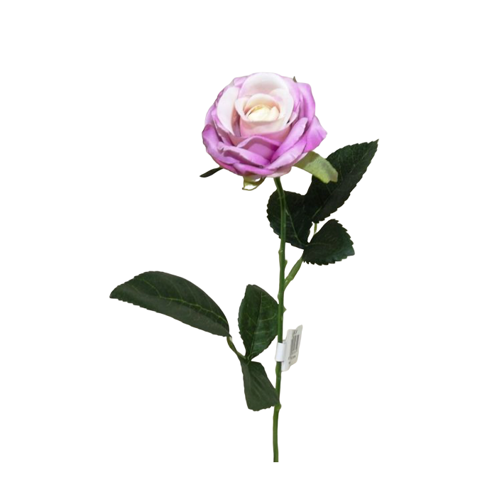 Diamond Rose Lavender 40cm