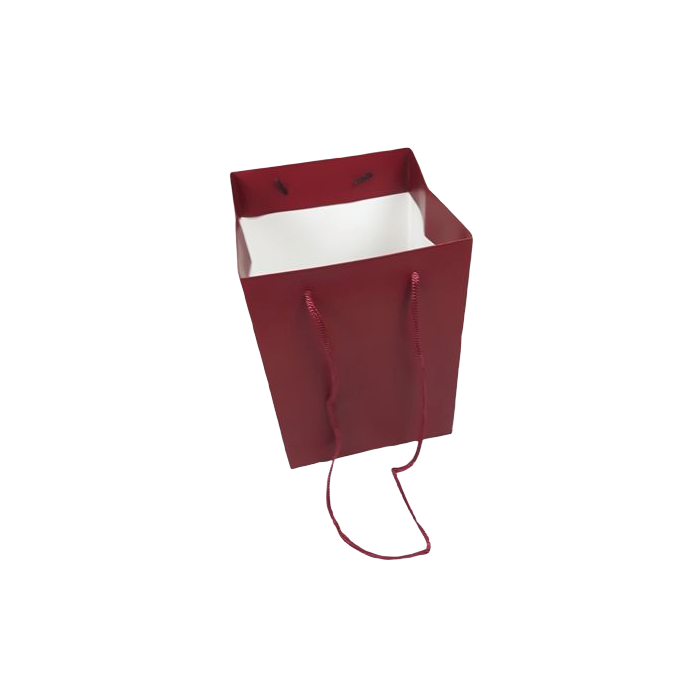 Olympic Bag Dark Red 25cm