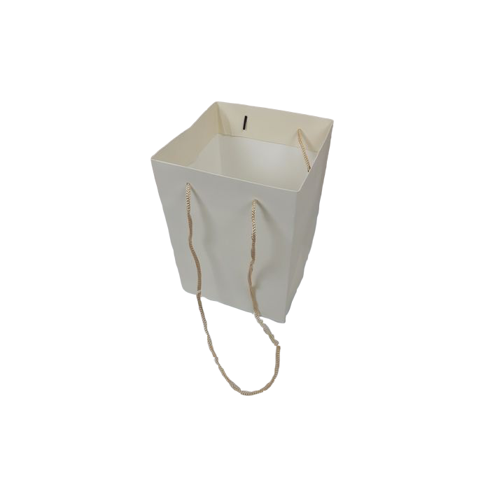 Olympic Bag Ivory 25cm