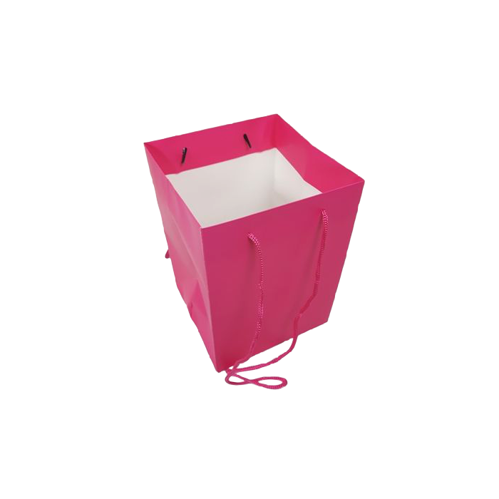 Olympic Bag Cerise 25cm
