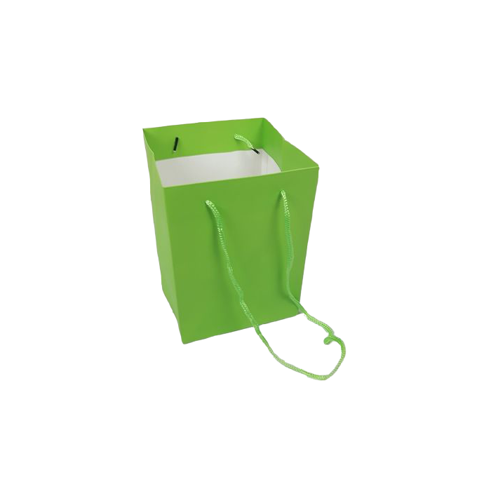 Olympic Bag Lime 25cm