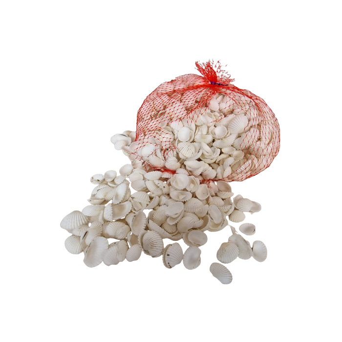 Shell White Chippi Small 1kg