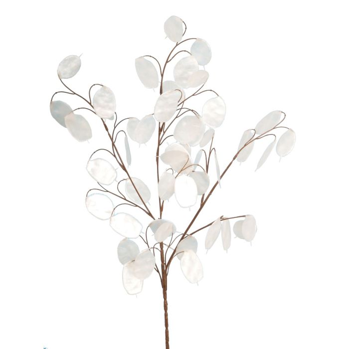 Honesty Spray x 48 Leaves White 76cm