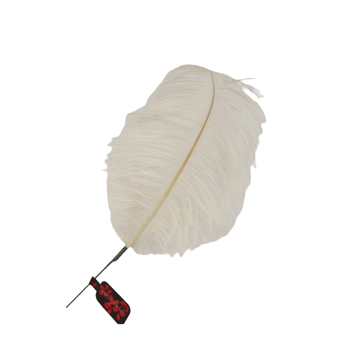 Feather Quill 76cm Cream
