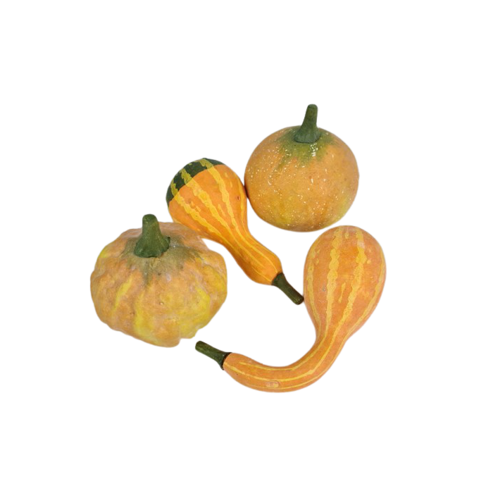 Gourds x 4 Yellow 8 - 12cm