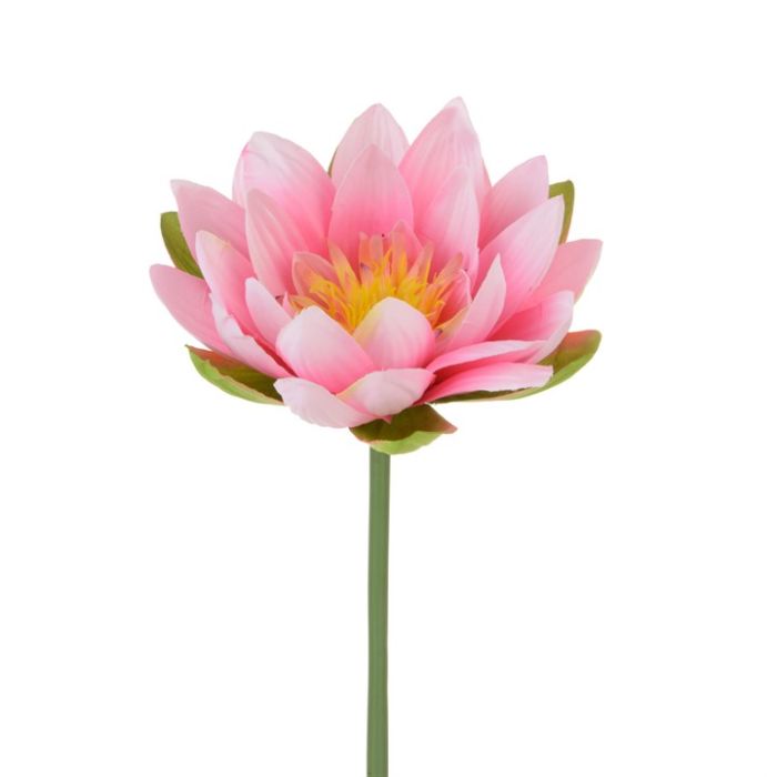 Lotus Flower Stem 66cm