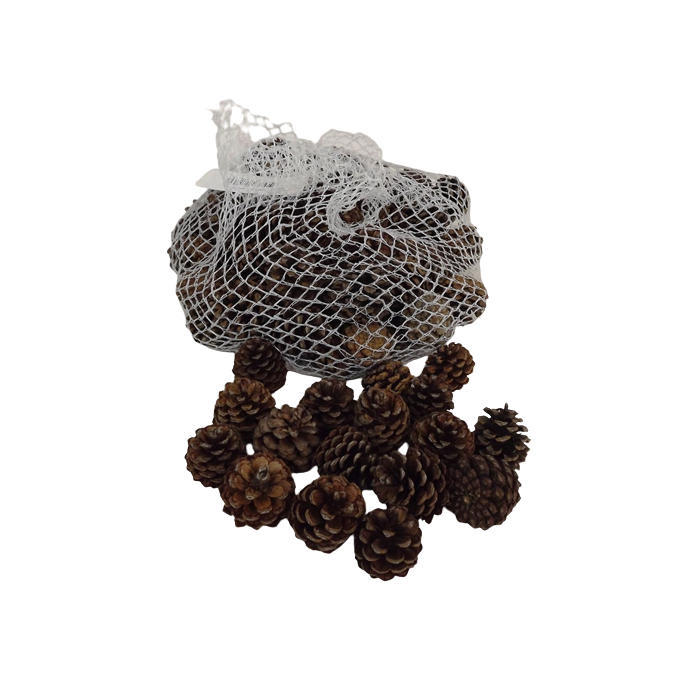 Pinus Mugos In Net Natural x 500g