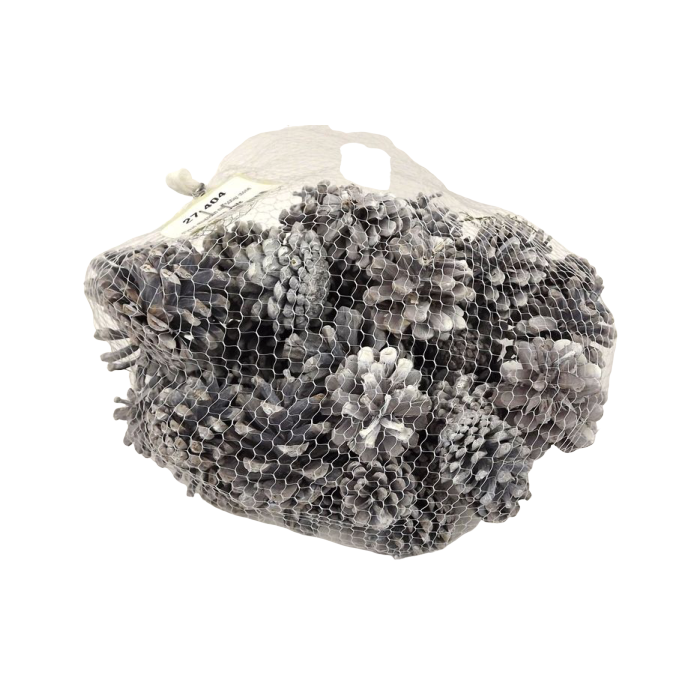 Pinus Mugos In Net Stone Washed White x 500g
