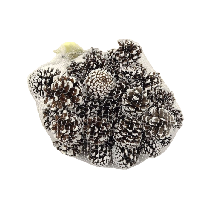 Pinus Mugos In Net White Dipped x 500g