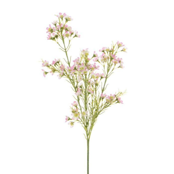 Wintersweet Spray x 3 67cm Pink