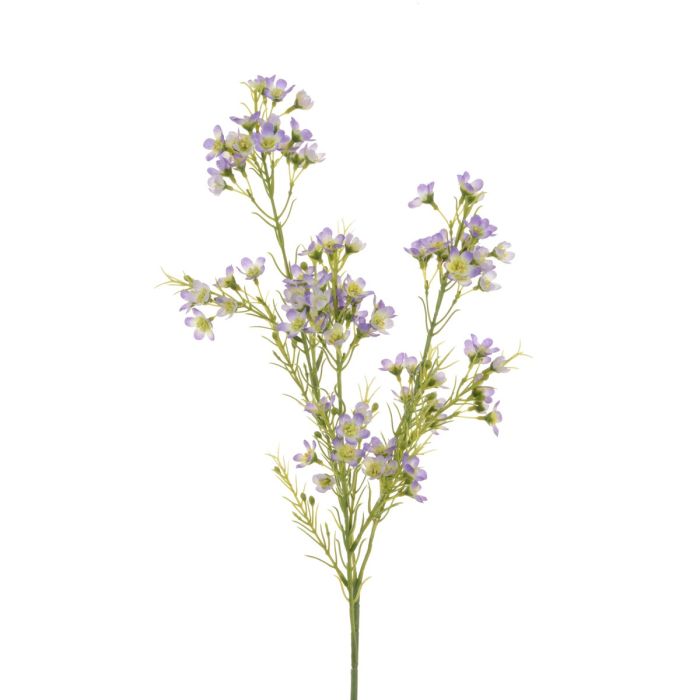 Wintersweet Spray x 3 67cm Lavender