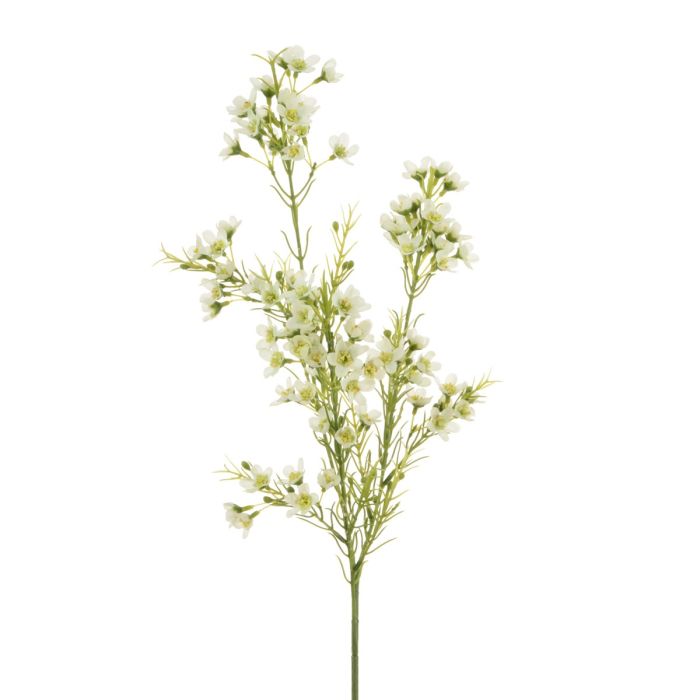 Wintersweet Spray x 3 67cm White