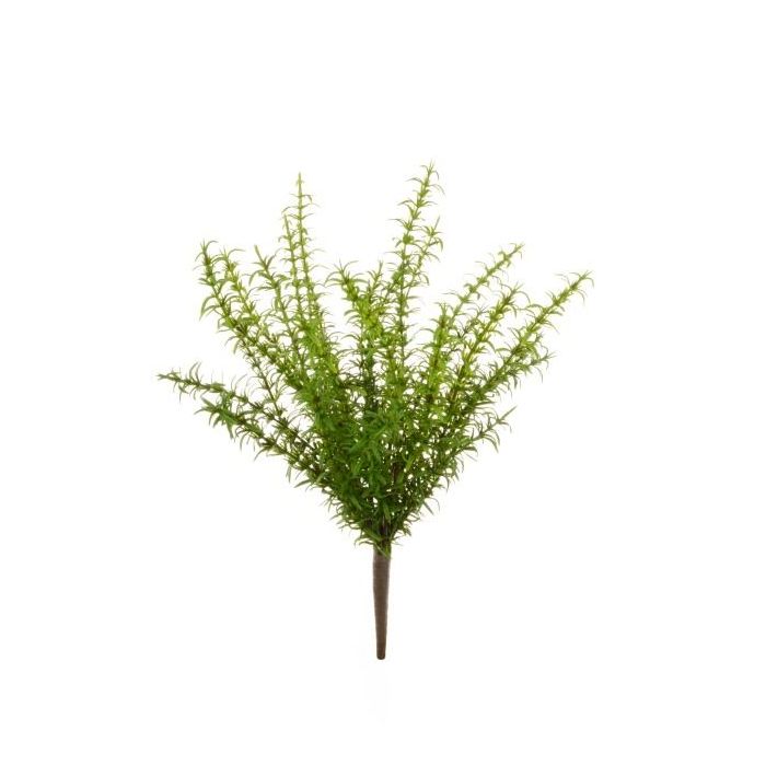 Rosemary Bush 43cm Green
