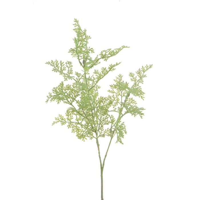Artemisia Spray 60cm Green
