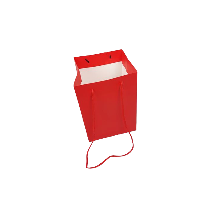 Olympic Bag 25cm Glossy Red