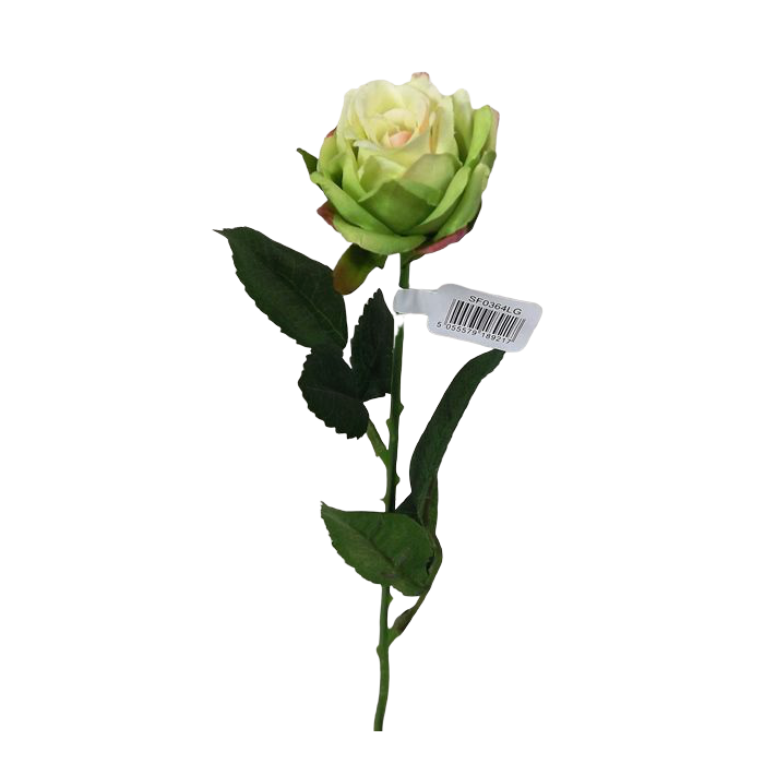 Diamond Rose Light Green 40cm