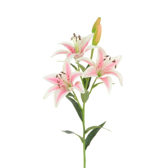 Tiger Lily 82cm Pink