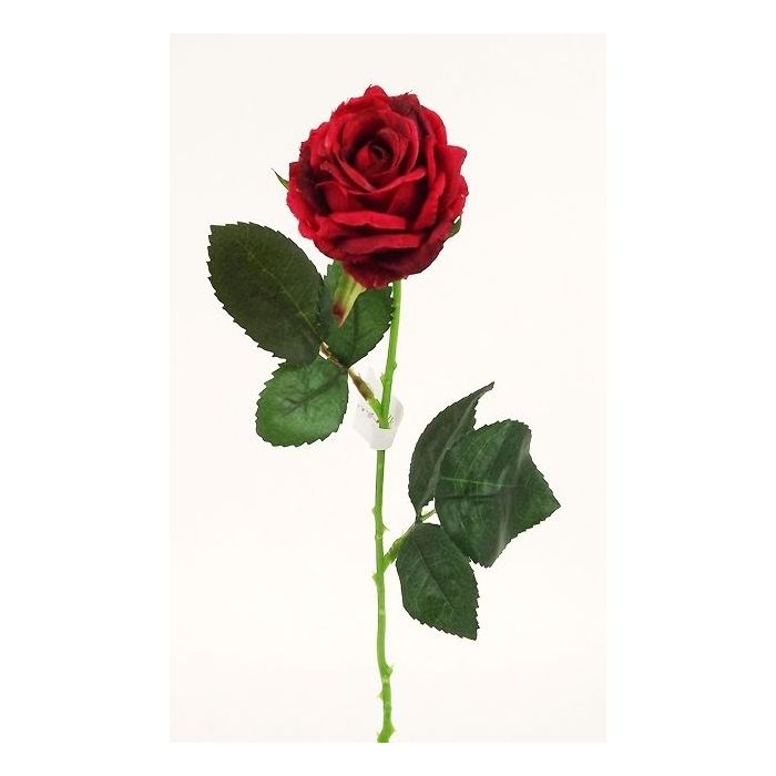 Diamond Rose Red 40cm