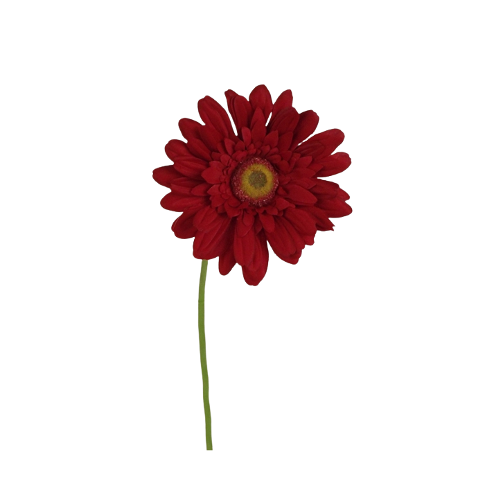 62cm Gerbera Red